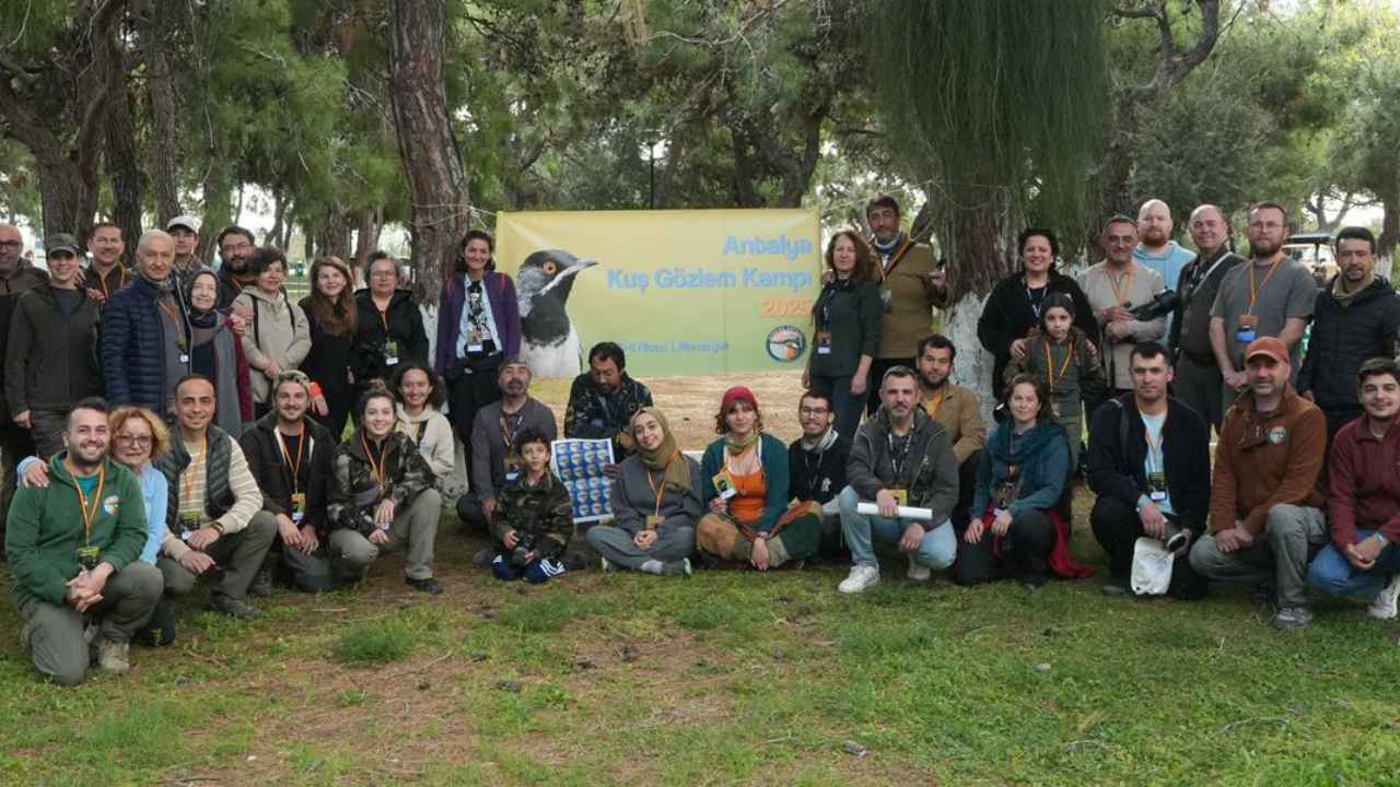 Manavgat Ve Serik'te Nadir 2 Kuş Görüntülendi 5