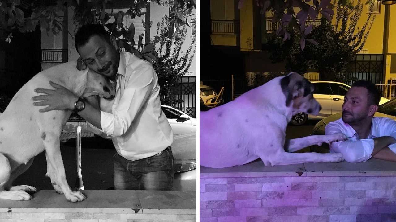 Muratpaşa'da Emekli Polis İşletmenin Köpeğini Vurdu 3