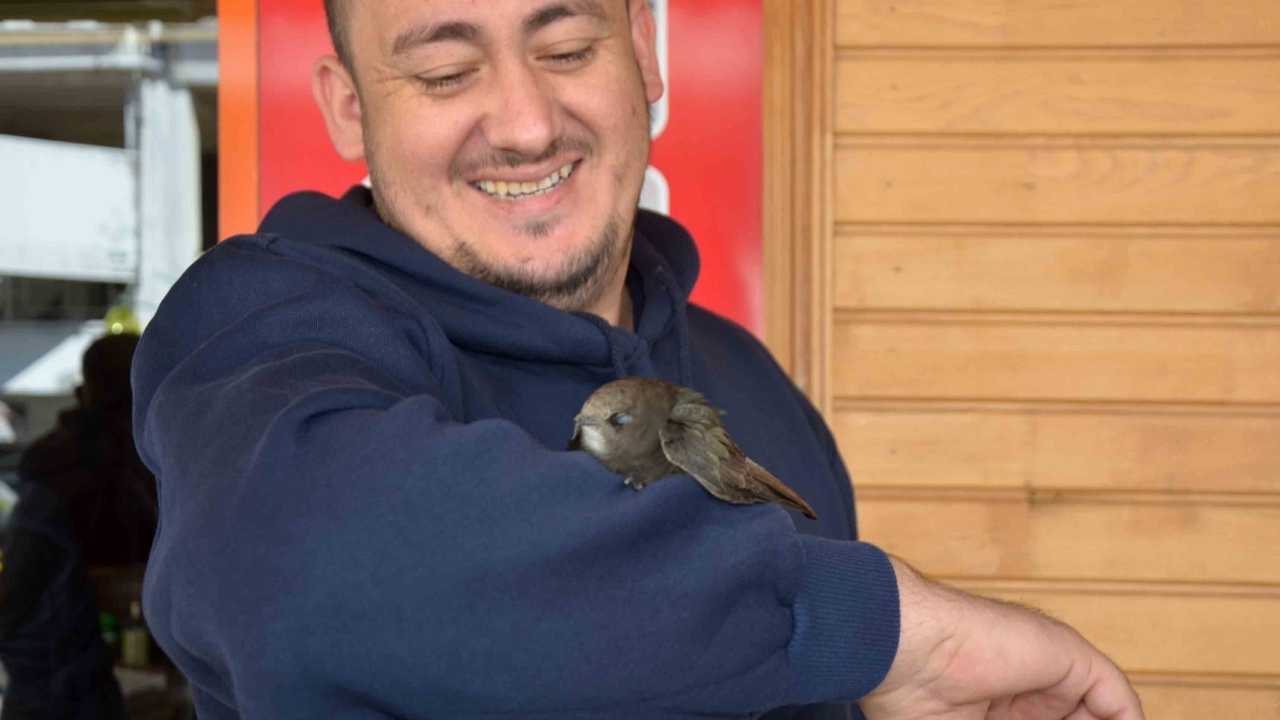 Serik'te Ebabil Koluna Yapıştı! Veteriner Müdahalesiyle Ayrıldı 2