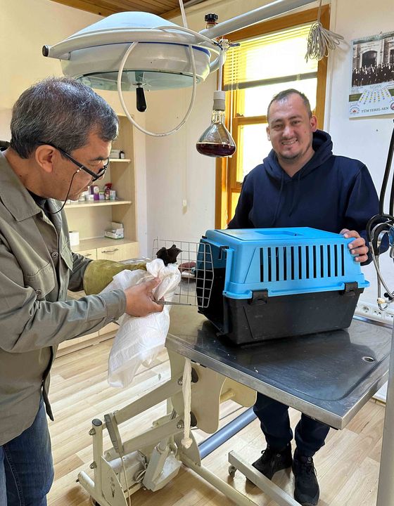 Serik'te Ebabil Koluna Yapıştı! Veteriner Müdahalesiyle Ayrıldı 3