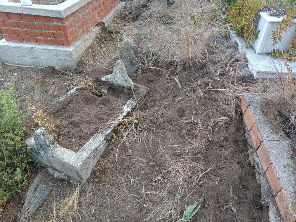 Serik'te Yaban Domuzları Mezarlığı Tahrip Etti