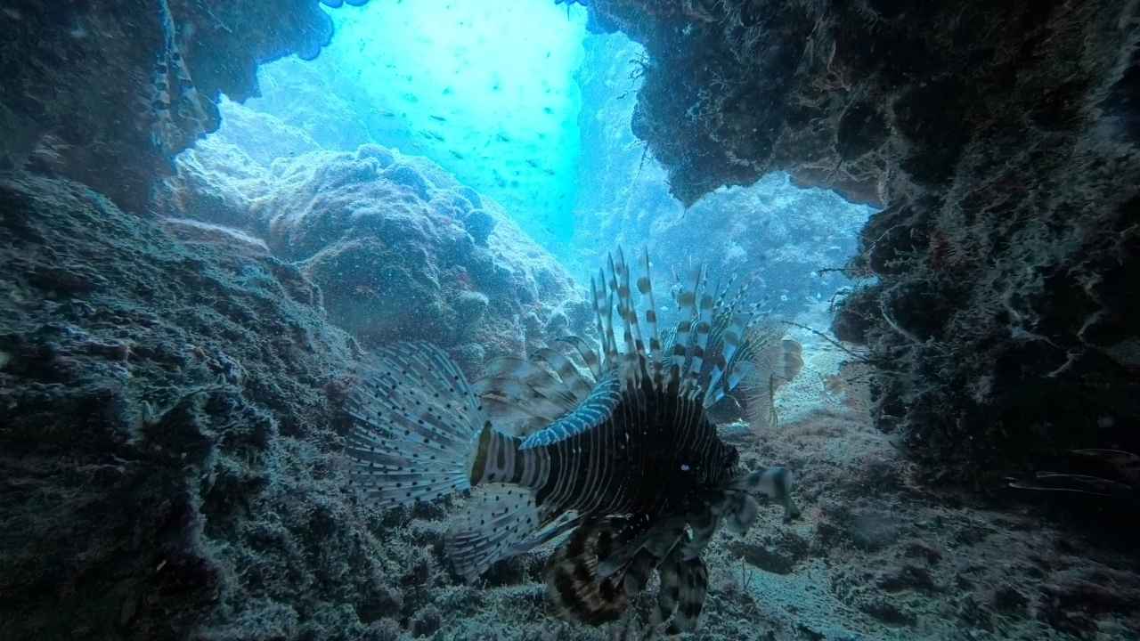 24. Kemer Sualtı Günleri 16 Ülkeden Sualtı Arkeologları Buluştu 3