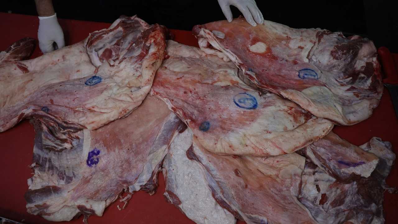 Adana’da At Ve Eşek Eti Skandalı Büyüyor 3