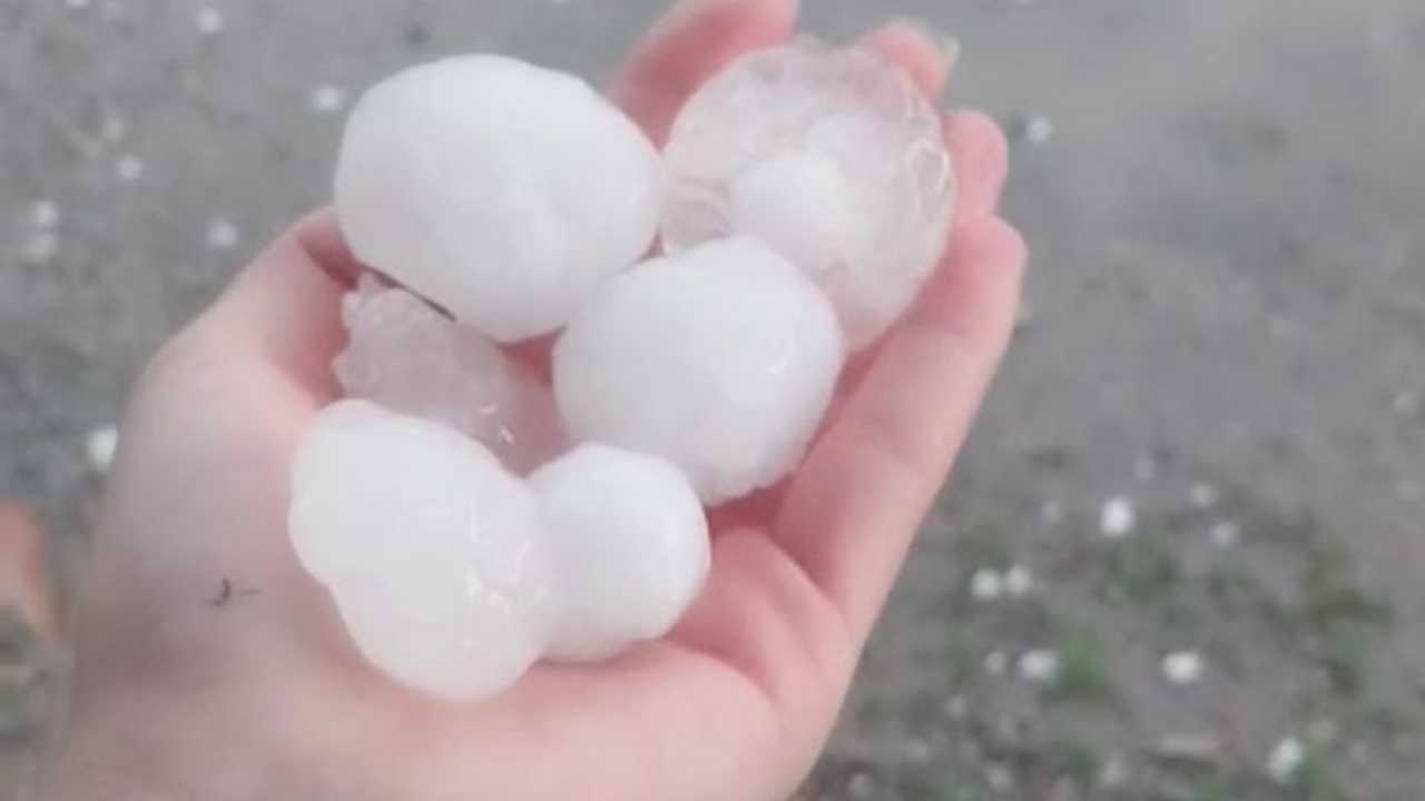 Adanada Hasat Öncesi Buğday Üreticisini3