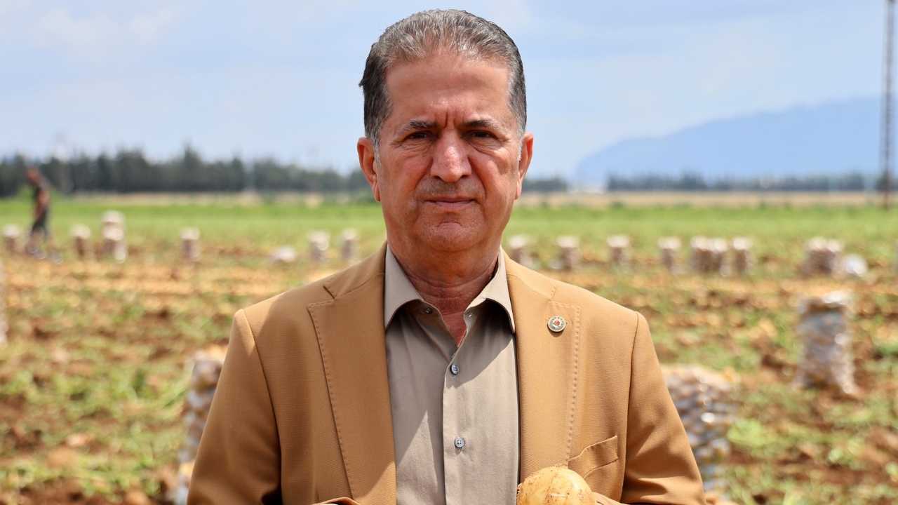 Adana’da Patates Altın Gibi2