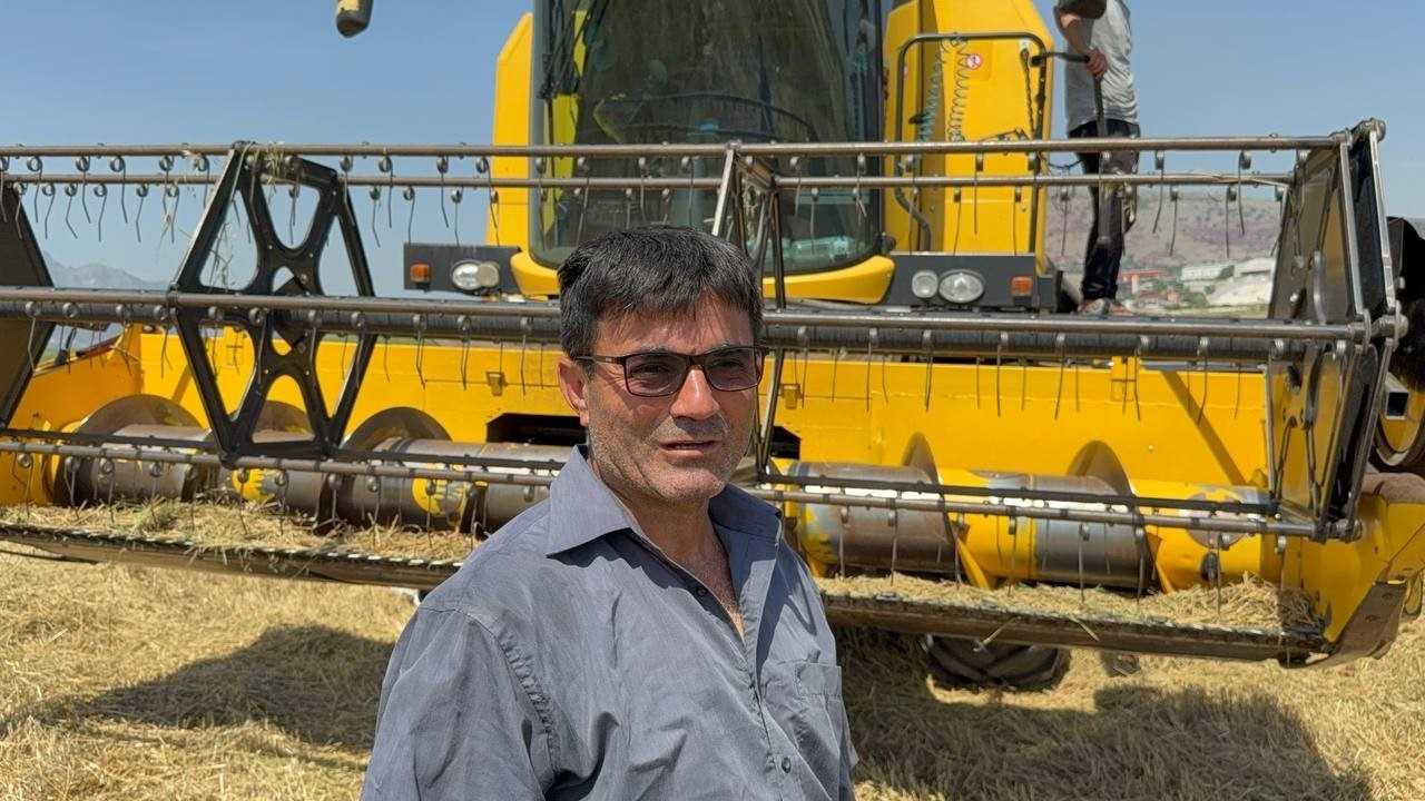 Adana’nın Buğday Tarlalarında Hasat Buruk Sürüyor 2