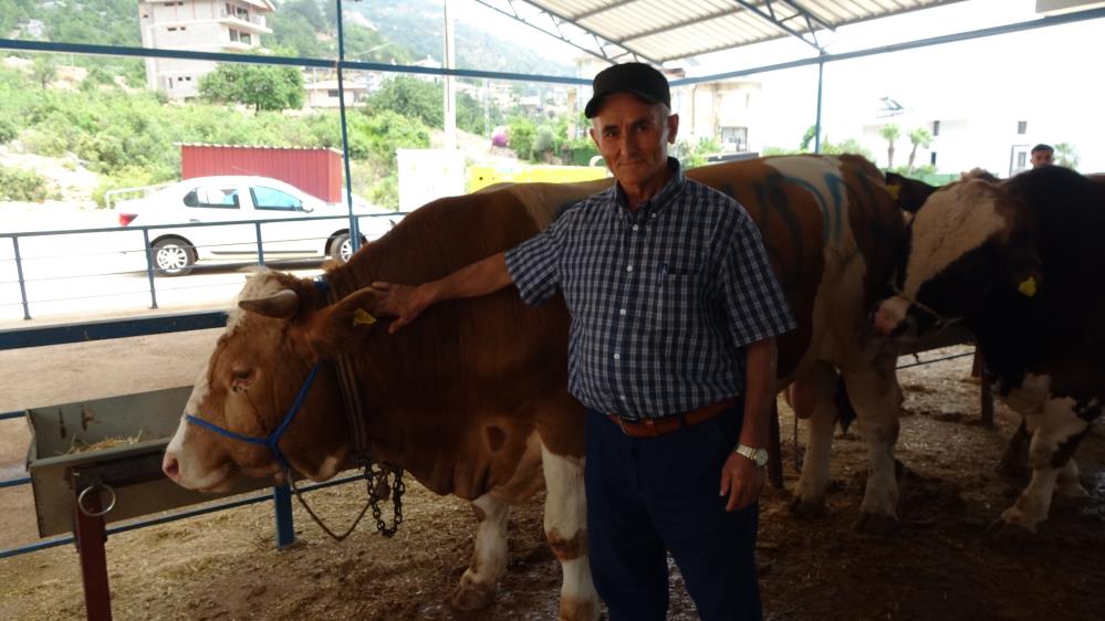 Alanya'da Kurban Pazarları Doldu! Alıcı Az Fiyatlar Yüksek