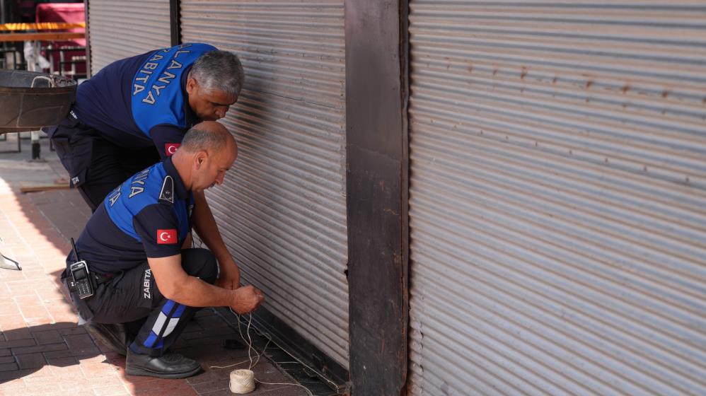 Alanya'da Otobüs Bagajında 50 Kilo Midye Ele Geçirildi