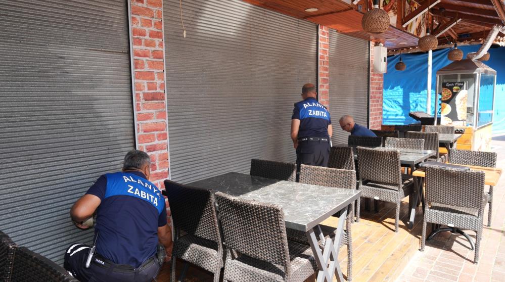 Alanya'da Otobüs Bagajında 50 Kilo Midye Ele Geçirildi