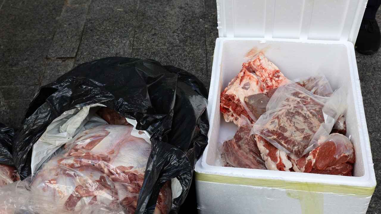 Antalya Otogarı'nda Çöp Poşetlerinden 300 Kilo Et Çıktı 2