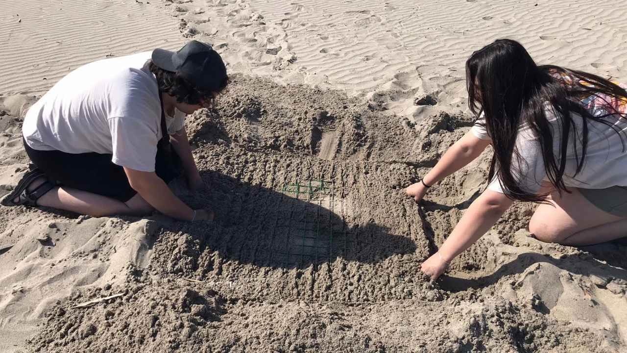 Antalya'da Hangi Sahillere Gece Giriş Yasak Cezası Dudak Uçuklatıyor 3