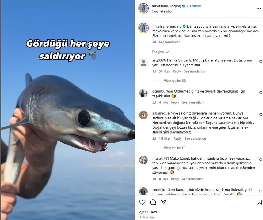 Antalya'da Köpekbalığı Yakalandı! Öpüp Geri Saldı 3