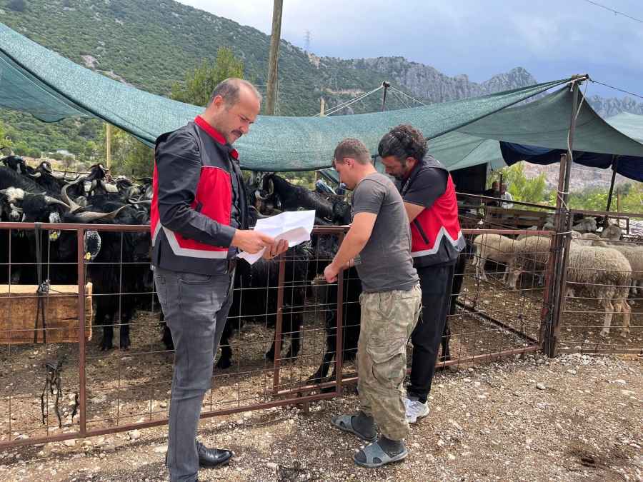 Antalya'da Kurban Bayramı Öncesi Sıkı Denetim1
