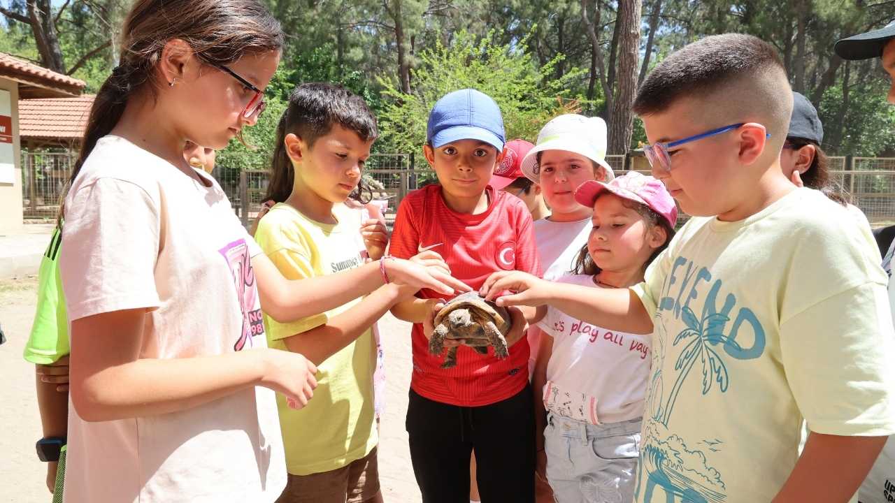 Antalya’da Minikler Doğayla Buluştu Kaplumbağalarla Tanıştı 2
