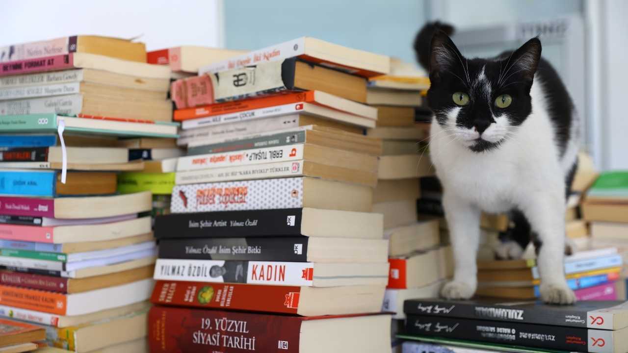 Antalya’dan Türkiye’ye Kitap Köprüsü Kuruldu 3
