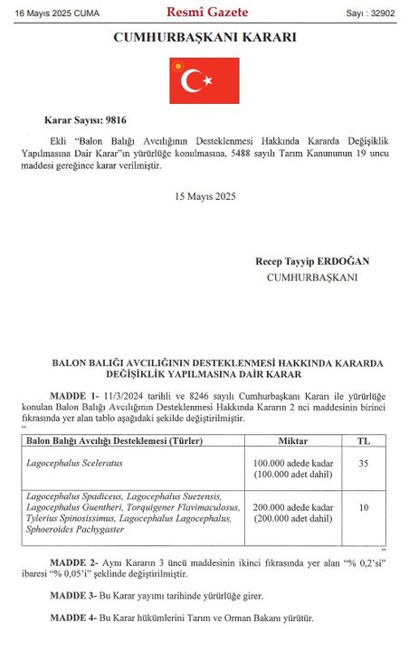 Balon Balığı Destekleri Artırıldı! 2025 Balon Balığı Destekleri Ne Kadar Oldu 2-1