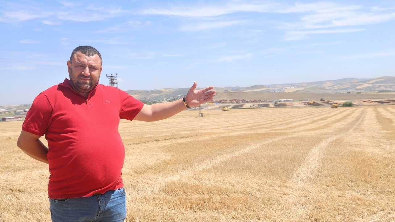 Hatay’da Buğday Rekoltesi Yarı Yarıya Düştü 3