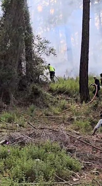 Kumluca'da Orman Yangını Çıktı! Ekipler Bölgede 3