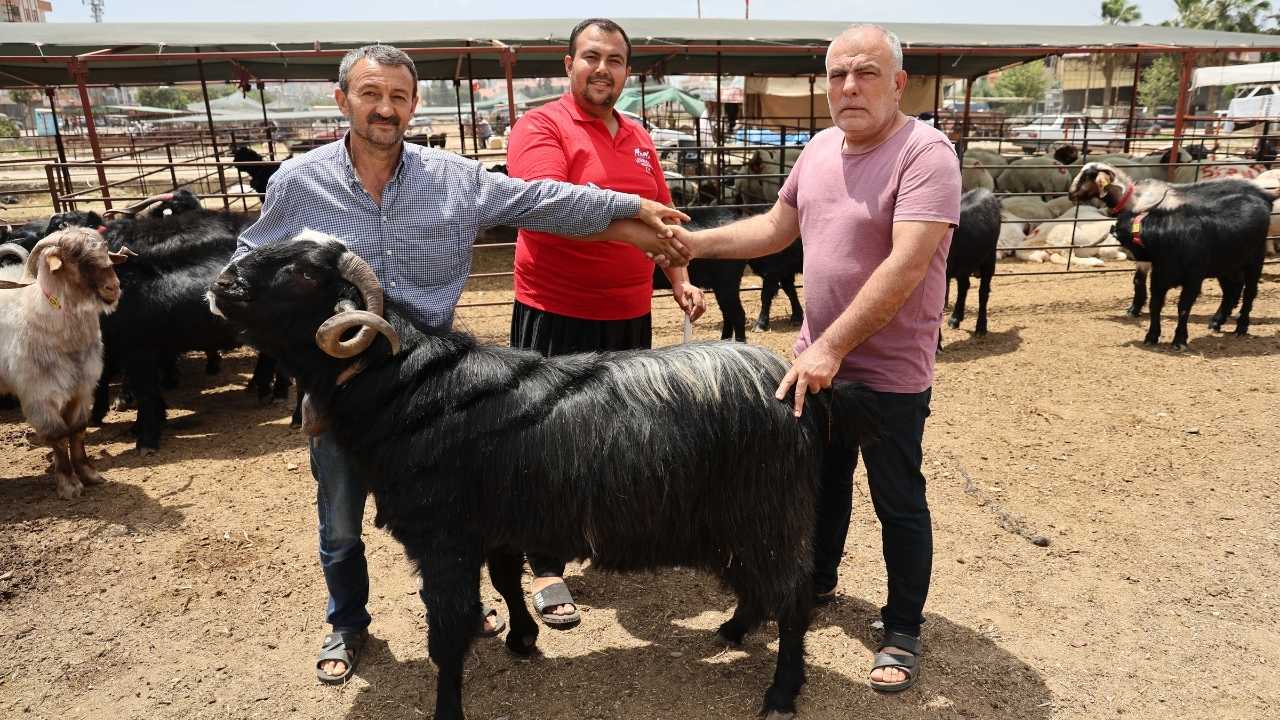 Kurban Bayramı Öncesi Adana’da Fiyatlar Açıklandı2