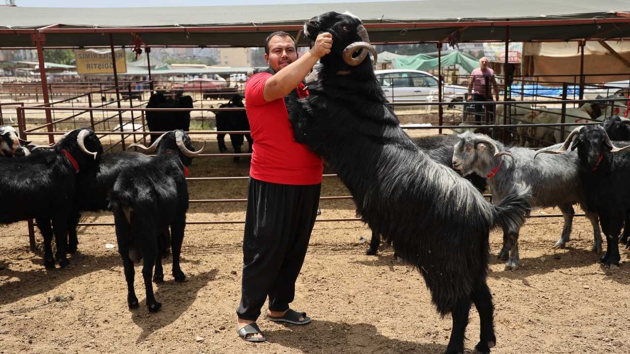 Kurban Bayramı Öncesi Adana’da Fiyatlar Açıklandı3