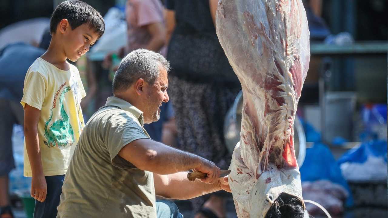 Kurban Etlerinde Salmonella Riski2