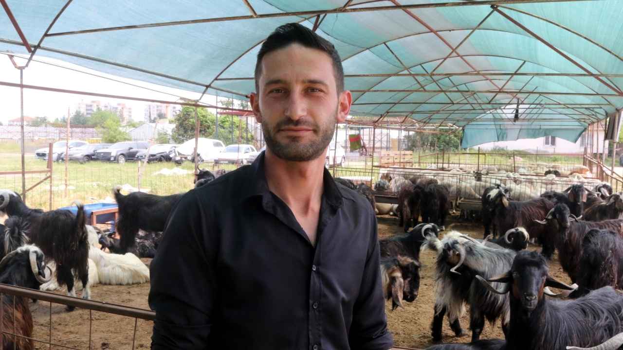 Kurban Pazarları Hareketlendi! 2025 Antalya Kurban Fiyatları Ne Kadar 5