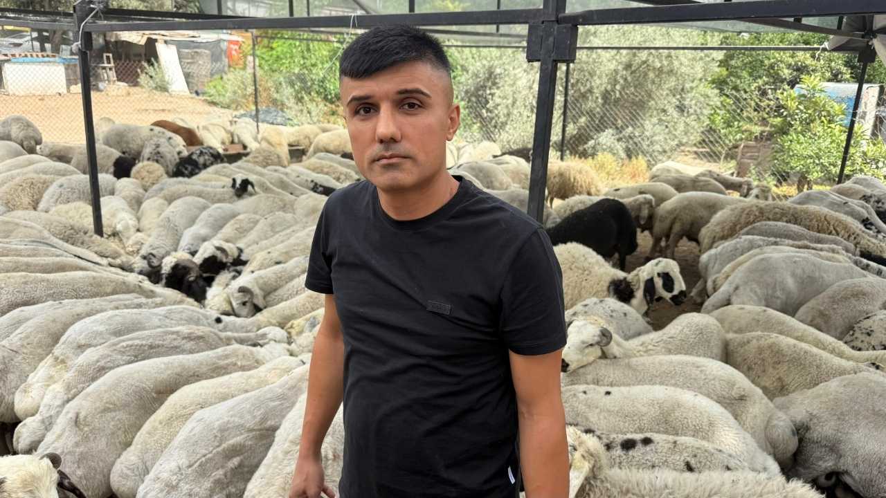 Kurbanlık Hilesine Dikkat2