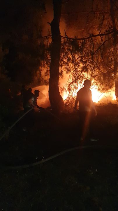 Manavgat’ta Orman Yangını! Isınmak İçin Yaktı Ağaçlar Tutuştu 2