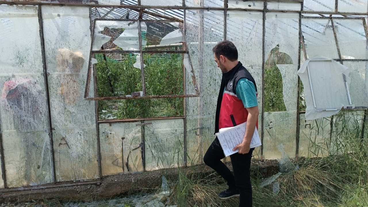 Serik’te 45 Dakikalık Dolu Felaketi! Üretici Gözyaşlarıyla Anlattı 3