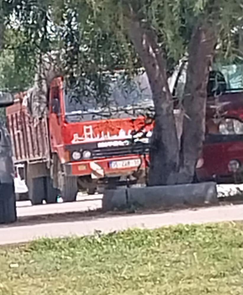 Serik'te Kamyonette Çıkan Yangın Ağaçlara Sıçradı