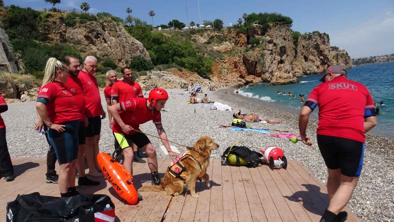 Türkiye'nin İlk Sivil Sualtı Kurtarma Köpeği Antalya'da! 2