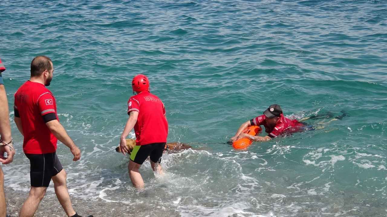 Türkiye'nin İlk Sivil Sualtı Kurtarma Köpeği Antalya'da! 5