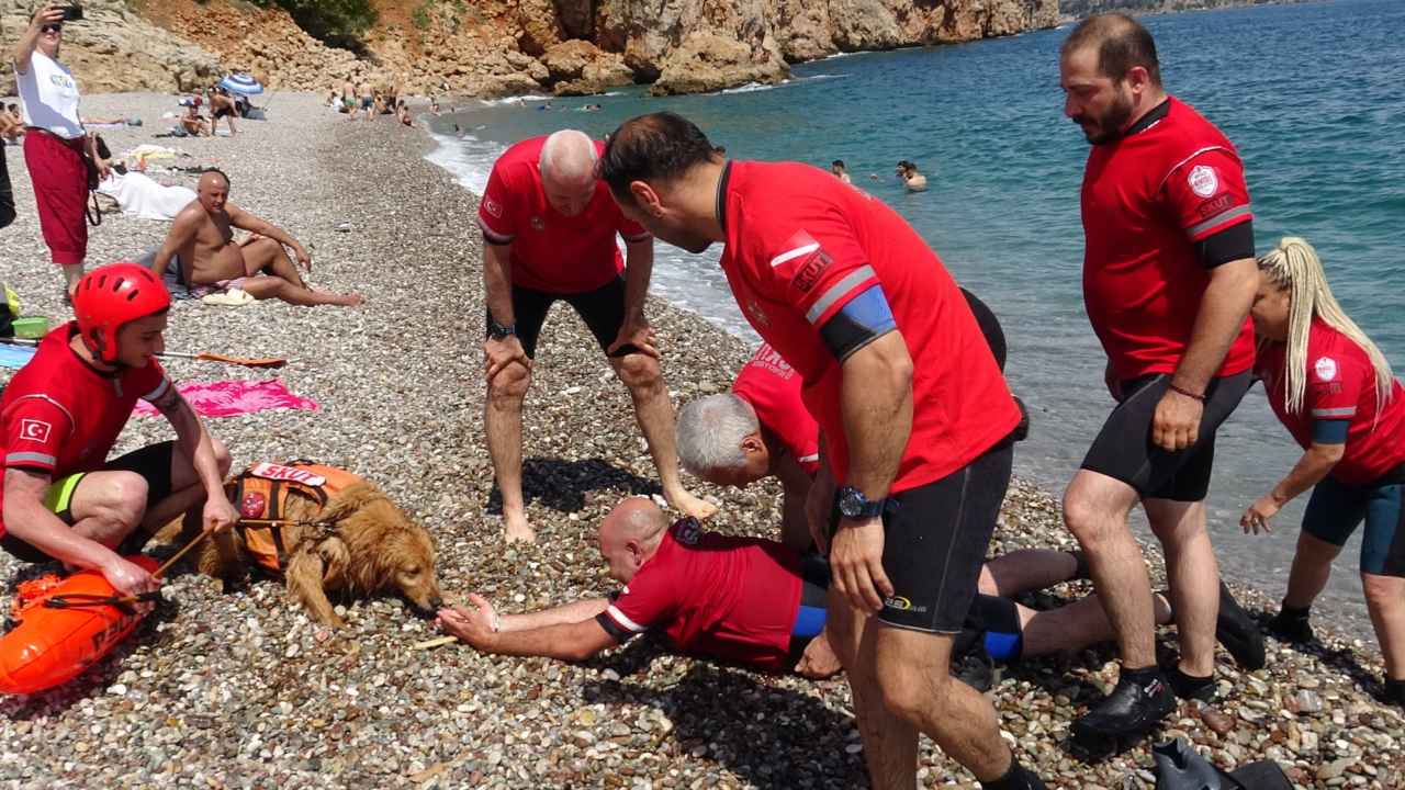 Türkiye'nin İlk Sivil Sualtı Kurtarma Köpeği Antalya'da! 6