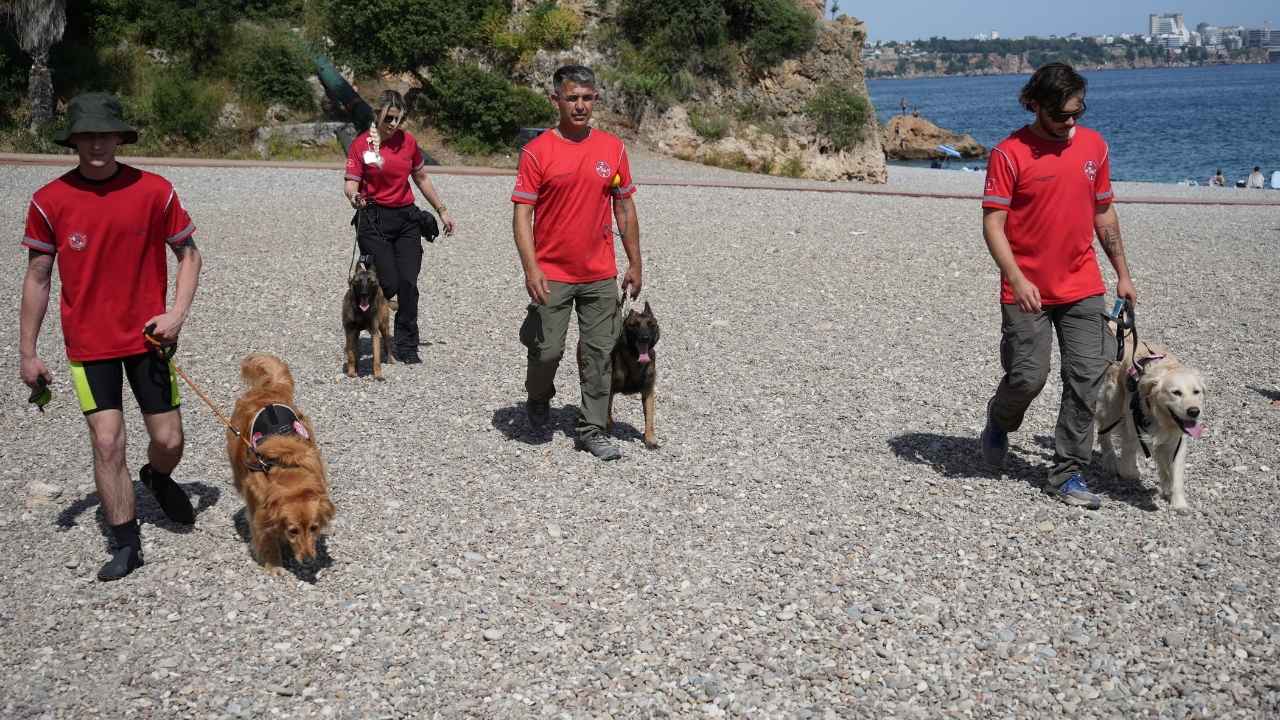 Türkiye'nin İlk Sivil Sualtı Kurtarma Köpeği Antalya'da! 8