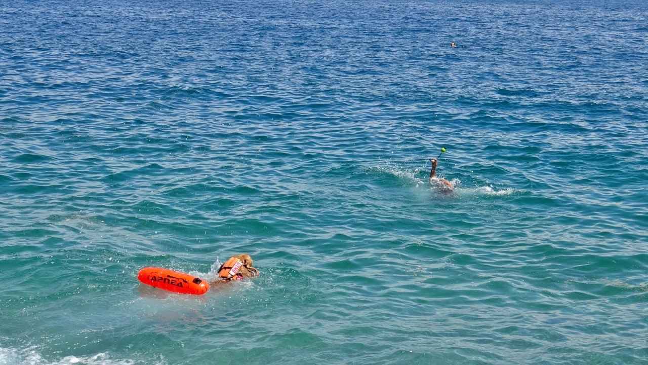 Türkiye'nin İlk Sivil Sualtı Kurtarma Köpeği Antalya'da!3