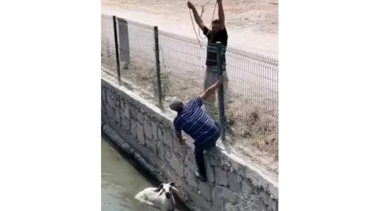 2-481