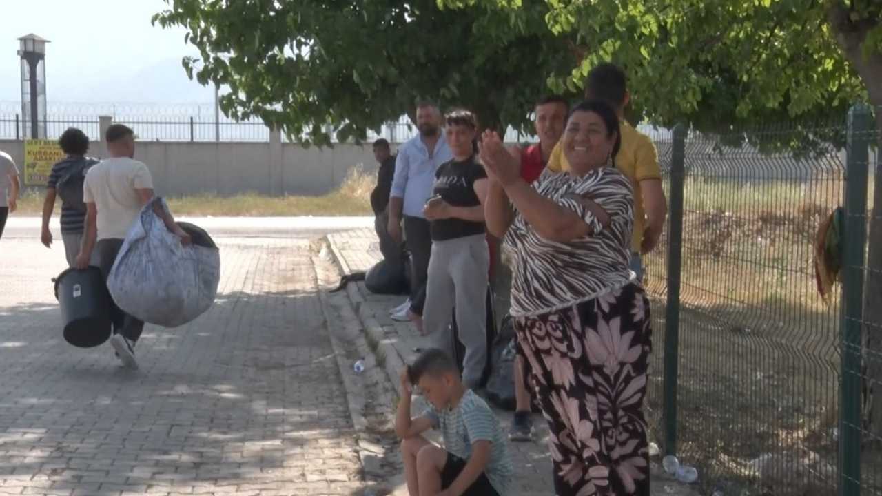 3-313