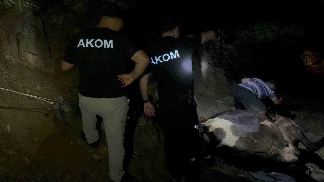 Adana’da 2 Gündür Aranan İnek Kuyuda Bulundu 2