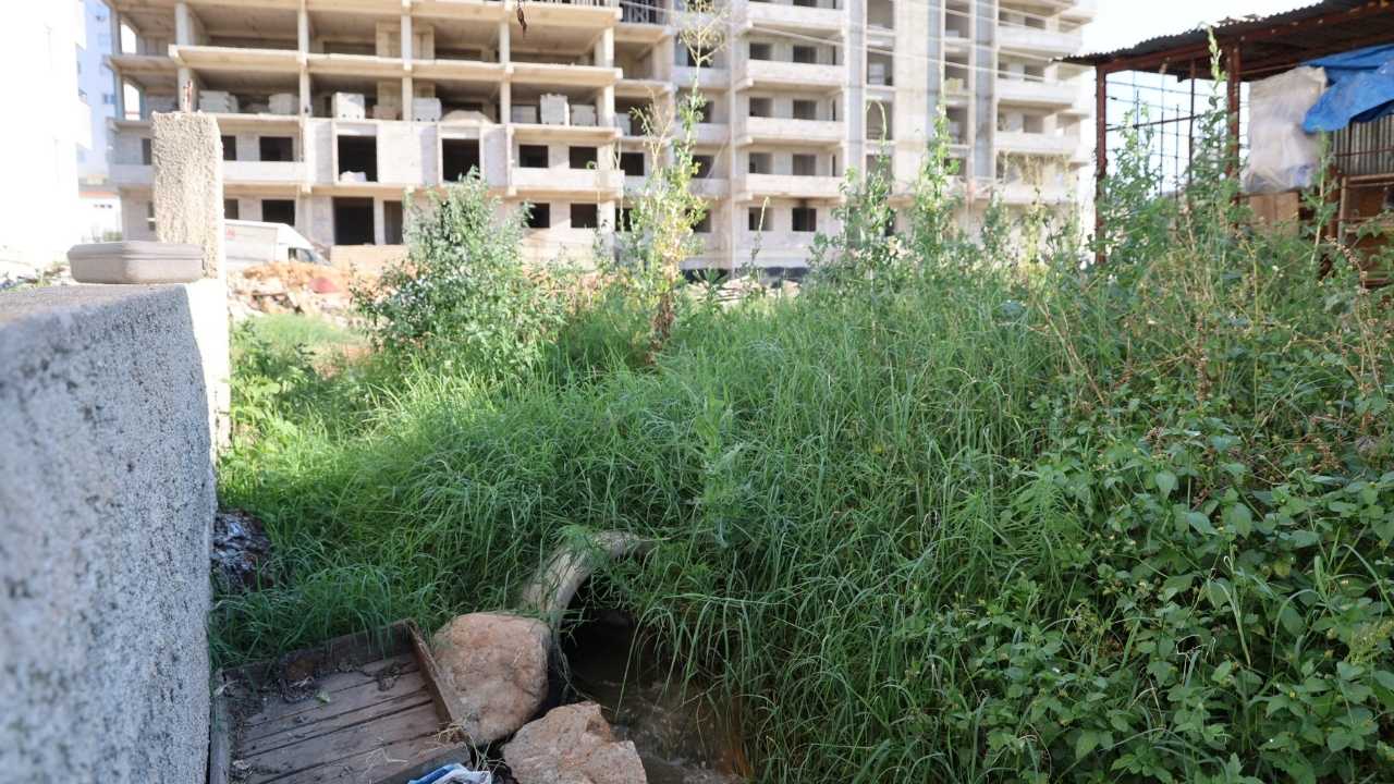 Adana’da Kilgen Çayı Lağım Suyuna Teslim3