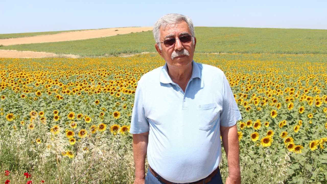 Adana’da Kuraklık Tehdidine Karşı Ayçiçeği Çözümü 2