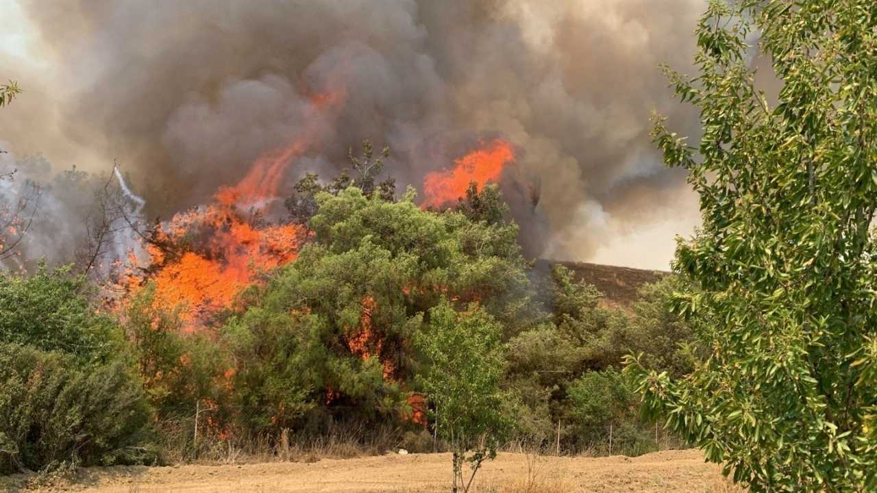 Adana’daki İki Orman Yangınında 7 Kişi Cezaevine Gönderildi 2