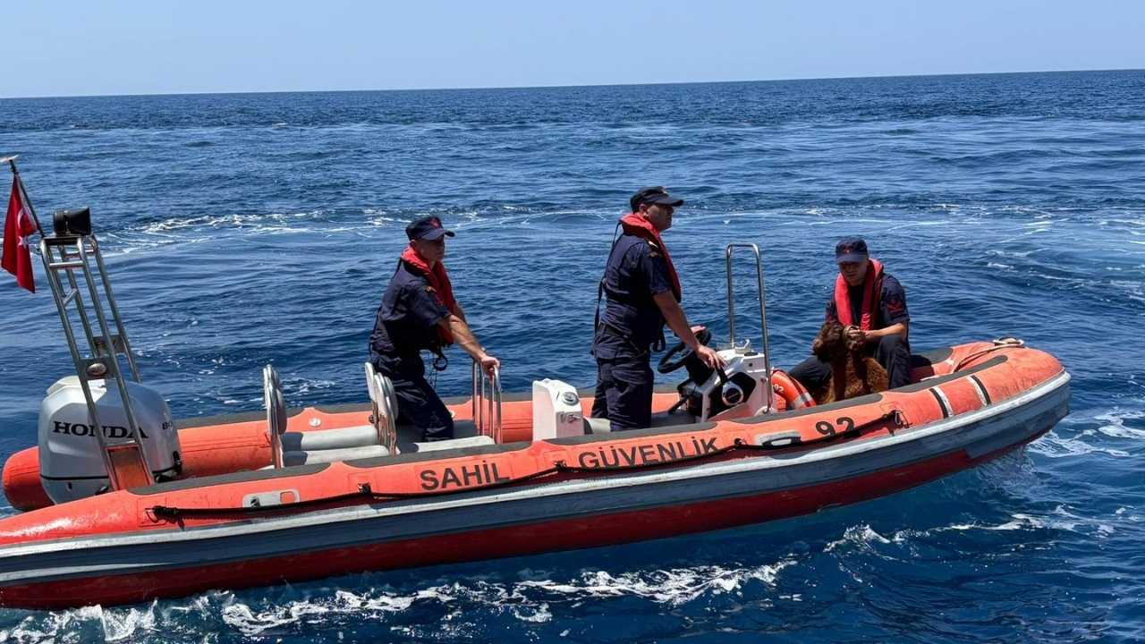 Alanya Kalesi Kayalıklarında Keçi Operasyonu! Denizden Böyle Kurtardılar 3