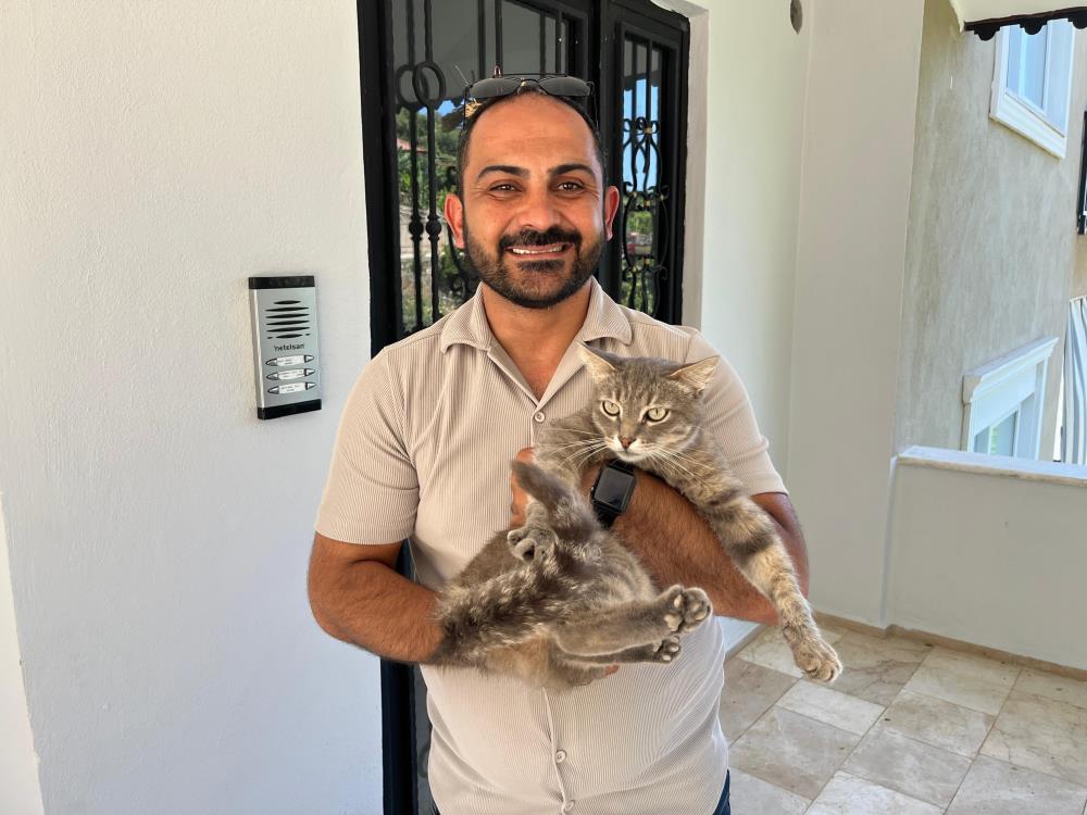 Alanya'da Yılana Müdahale Eden Sokak Kedisi Evin Bekçisi Oldu