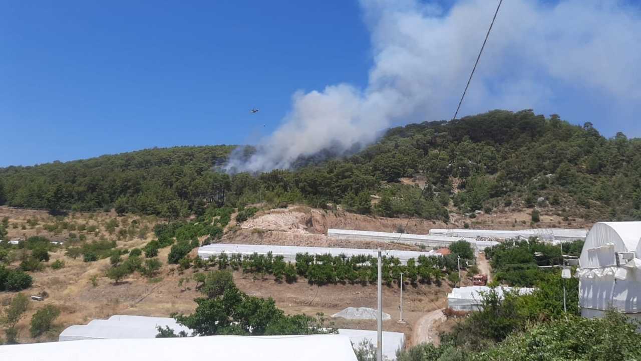 Antalya Kumluca’da Orman Yangını Paniği2