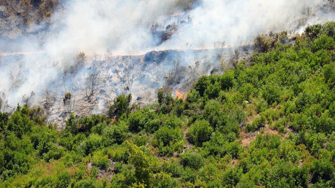 Antalya’da 9 Günde 14 Orman Yangını! 45 Hektar Alan Küle Döndü 4