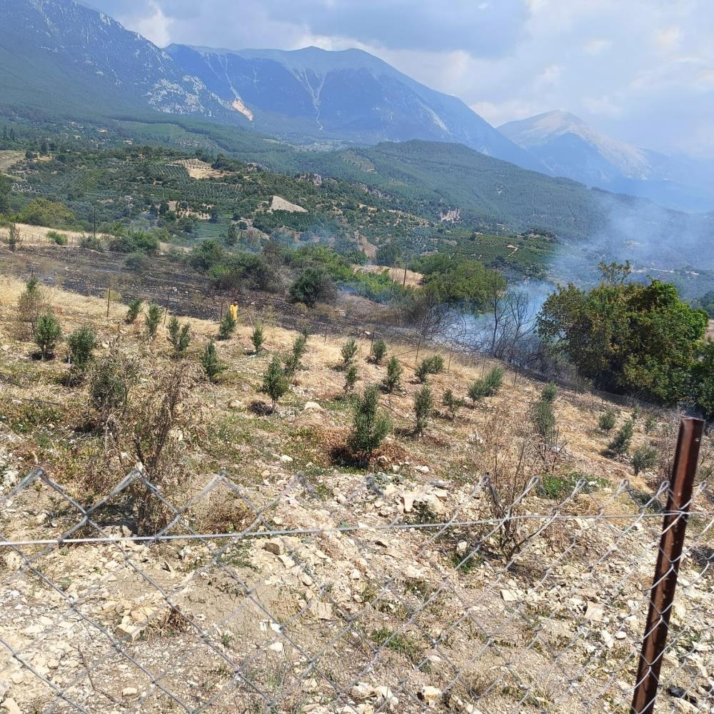 Antalya'da Çıkan Yangın Ormanlık Alana Sıçramadan Söndürüldü