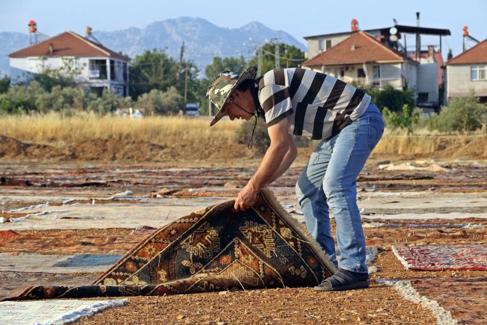 Antalya’da Tarlaya Serilen Milyonluk Halılar İçin Nöbet!
