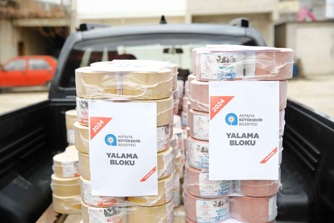 Antalya’nın Yayla Bölgelerinde Üreticilerin Yüzü Güldü 1
