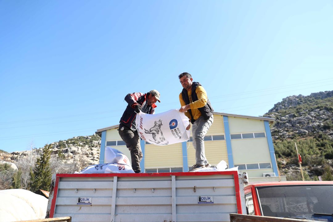 Antalya’nın Yayla Bölgelerinde Üreticilerin Yüzü Güldü 3