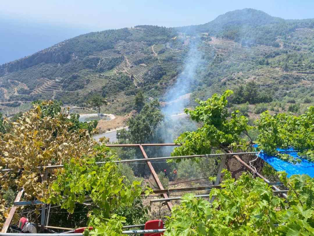 Gazipaşa'da Bahçe Yangını Korkuttu-1